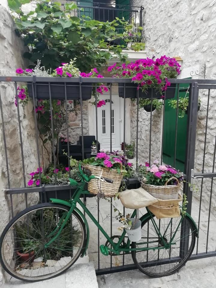 Apartman Teta Jadre Makarska Extérieur photo